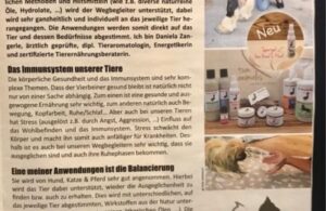 Artikel Tum Animalis in Oberland Dabei